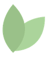 leaves icon